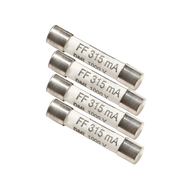 FP300 Amprobe Elektrische Spezialsicherungen